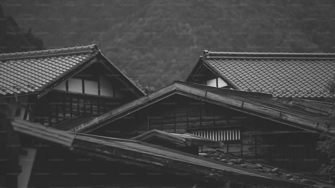 山あいに木造の家々が並ぶ地方の集落