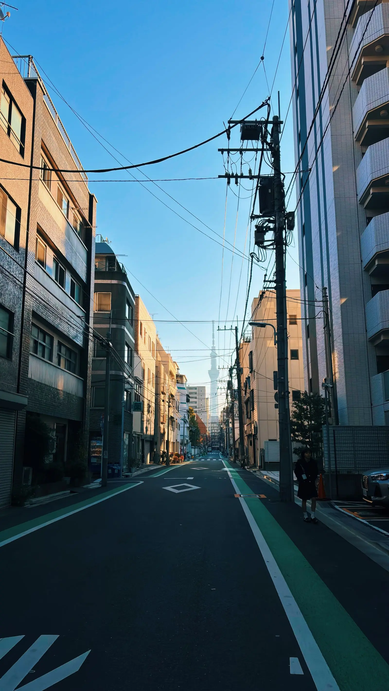 電線と低層の建物が並ぶ日本の街の通り
